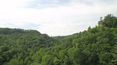 Aerial Red River Gorge / Daniel Boone National Forrest in Appalachian Mountains Stock Footage 64277472