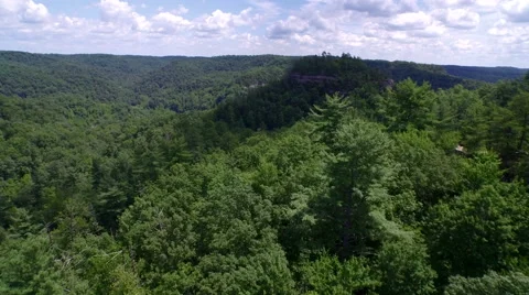 Aerial Red River Gorge / Daniel Boone National Forrest in Appalachian Mountains Stock Footage 64278677