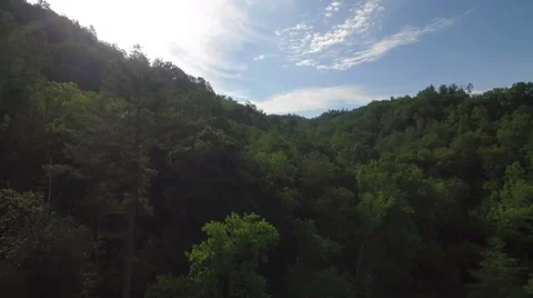 Aerial Red River Gorge / Daniel Boone National Forrest in Appalachian Mountains Stock Footage