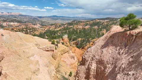 Aerial Red Rock Canyon Cliffs Pine Forest and Desert Landscape Fly Through Stock Footage 339811875