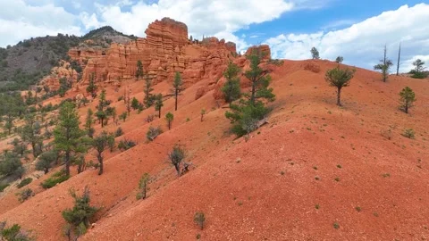 Aerial Red Rock Formations and Forest Canyon Fly Through Forward Motion Stock Footage 339811694