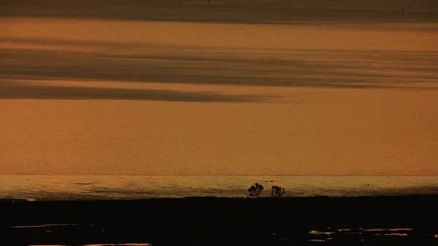 Aerial red sunset view Heron bay San Francisco Video stock 83914751