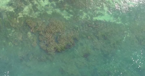 Aerial reef with waves Stock Footage 83865617