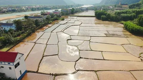 Aerial Reflective Rice Mirrors Phong Nha Vietnam Sunlit Flooded Paddies Forming Stock Footage 342923916