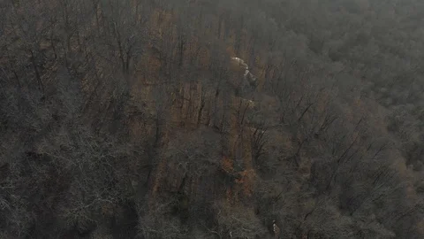 Aerial of Remote Forest Wilderness Stock-Footage 121988751