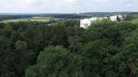 Aerial reveal of classical structure beyond treetops Vidéo 321833451