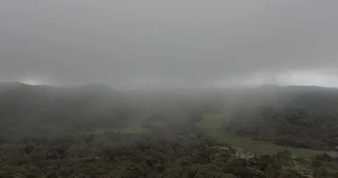 Aerial reveal of forest from a pool 스톡 동영상 87979677
