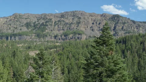 Aerial reveal from pine tree to cliffs in Gifford Pinchot national forest Vidéo 247795055