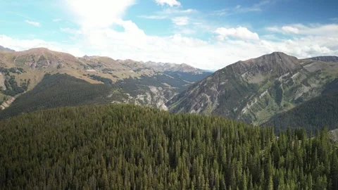 Aerial reveal from pine tree forest to Elk Mountain Range in Crested Butte Stock Footage 251149351