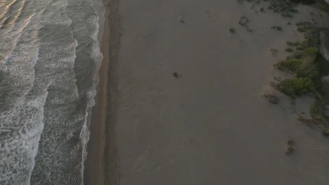 An aerial reveal of the protected turtle nesting beach Istuzu in Dalyan, Turkey, Stock Footage 232795577