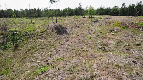 Aerial reverse dolly above empty hillside devoid of trees due to logging 스톡 동영상 247622228