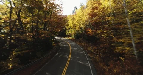 Aerial: Reversing Quickly through Empty Road in Autumn Woods 動画素材 89312457