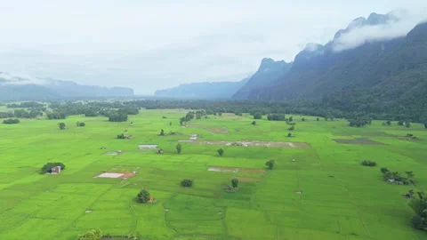 Aerial Rice Fields and Karst Mountains near Kong Lor, Laos Video stock 330594730