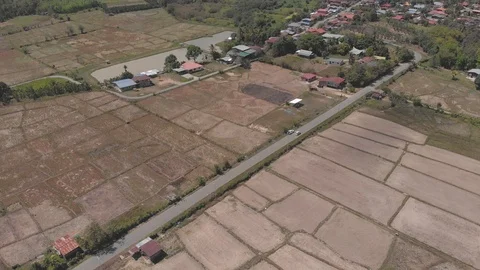 Aerial Of Rice Fields In Dry Season With Drought Video stock 107154053