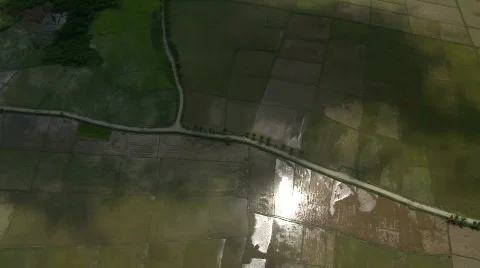 Aerial of rice fields reflecting the sky Stock Footage 649579