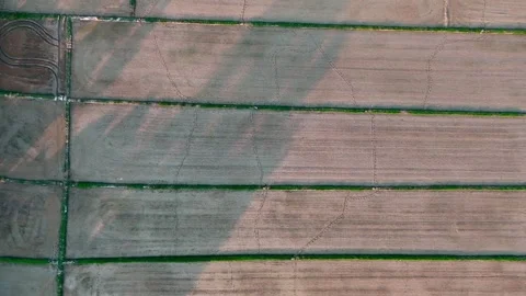 Aerial rice paddies top down during burning season Chiang Mai Thailand Asia Vidéo 331477341