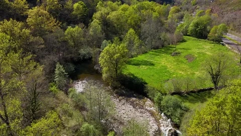 Aerial Rio Ponga Valley Spring Forest Asturias Spain Vidéo 339199700