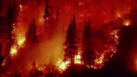 Aerial, rising, drone shot, away from a tree in a raging wildfire, Stock Footage