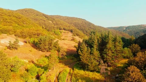 Aerial rising view pine tree forest site with mountains panorama in Armenia Stock Footage 164521267