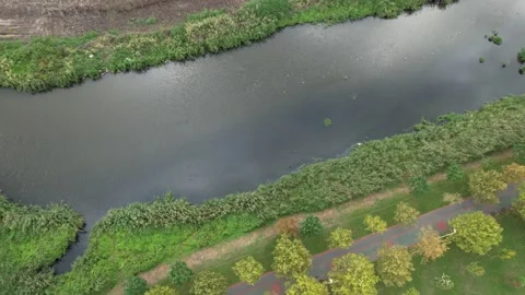 Aerial river and cloud reflection Stock Footage 219827384