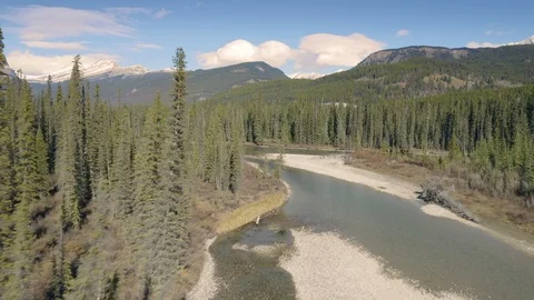 Aerial: River and Forest in the Canadian Rocky Mountains, Alberta, Canada. Stock Footage