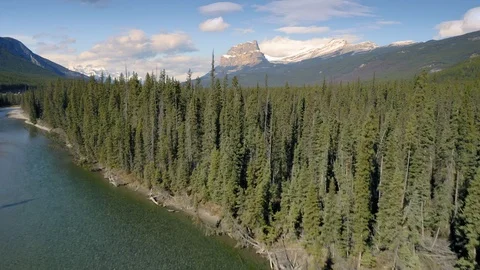 Aerial: River and Forest in the Canadian Rocky Mountains, Alberta, Canada. Stock Footage