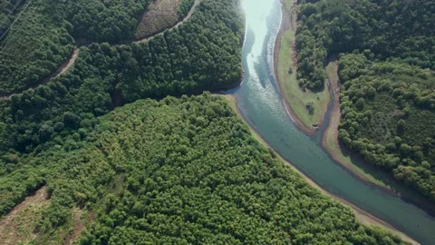 Aerial river and forest Stock Footage 219894198