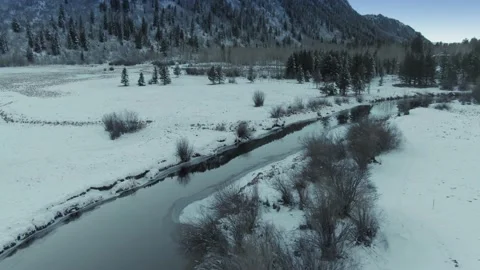 Aerial: River and pine forest covered in snow. Aspen, Colorado, USA Stock Footage 161076780