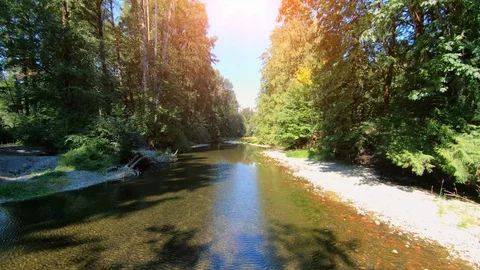 Aerial River Bed View, Green Nature Trees Blue Water Low POV Close Up Background Stock Footage 109579740