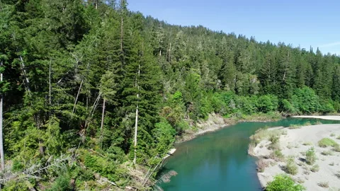Aerial of river in dense forest Stock Footage 259773642