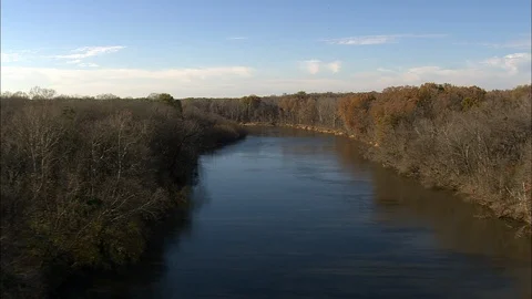 Aerial of river flowing through forest trees, Riding Congaree River Stock Footage 109141248