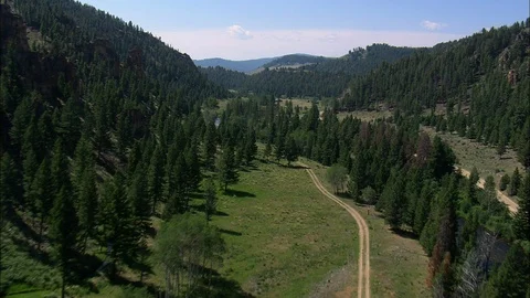 Aerial of river flowing through forest trees, Pretty valley of trees, river and Stock Footage 109468607