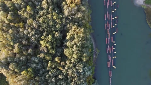 Aerial Of River Flowing Through Forest Trees Stock Footage 168968121
