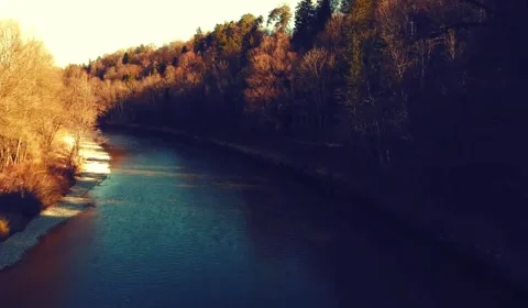 Aerial Of River Flowing Through Forest Trees. Stock Footage 243373504