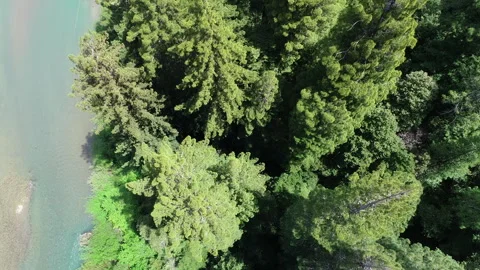 Aerial of river flowing under forest Stock Footage 259514428