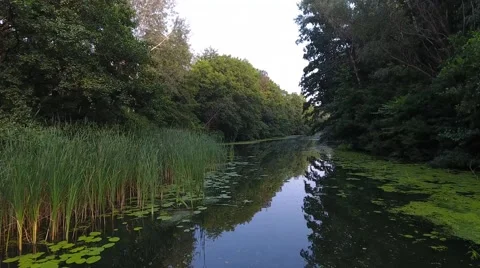 Aerial of river Stock Footage 68196050