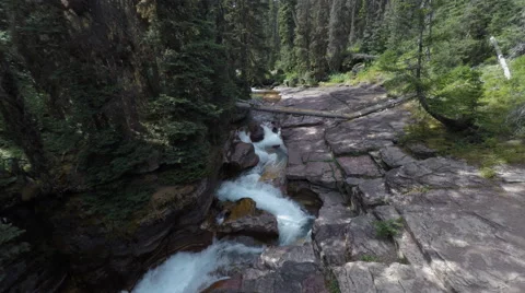 Aerial river forest fly over Stock Footage 65363560