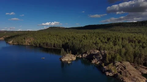 Aerial River Forest Stock Footage 214463822