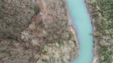 Aerial river forest Stock Footage 263729852