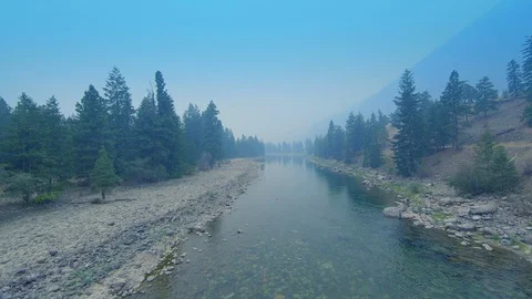 Aerial River Forest Landscape Background View, Beautiful Trees Scene Nature Mist Stock Footage 100163692