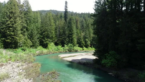 Aerial of river in the middle of a dense forest Stock Footage 259849174
