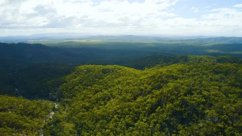 Aerial, a river in the middle of rain forest at Davies Creek in Queensland, A Vidéo 122501205