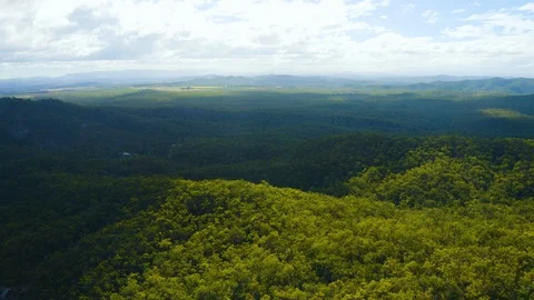 Aerial, a river in the middle of rain forest at Davies Creek in Queensland, A Vidéo 126836745