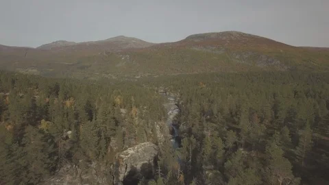 Aerial of river in Norway fall Stock Footage 87699853