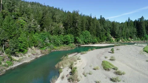 Aerial of river in the redwoods Stock Footage 259786701