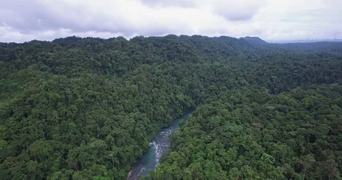 Aerial of river running through dense tropical rain forest, Papua New Guinea, 4k Stock Footage 122991691