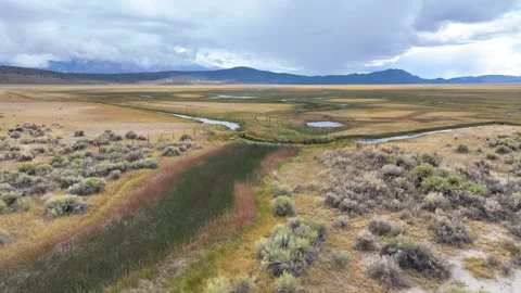 Aerial River Spring Lakes Ecological Reserve Bishop California Fly Through Stock Footage 339818802