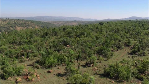 Aerial of river stream flowing through mountain valley covered with forest Stock Footage 109442292