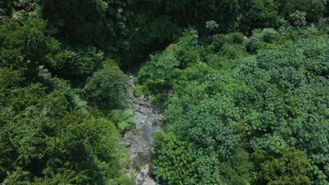 Aerial River Through Mountain Forest Stock Footage 309335709