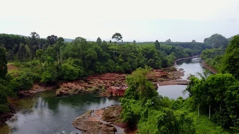 Aerial river tropical forest remote Stock Footage 82643534